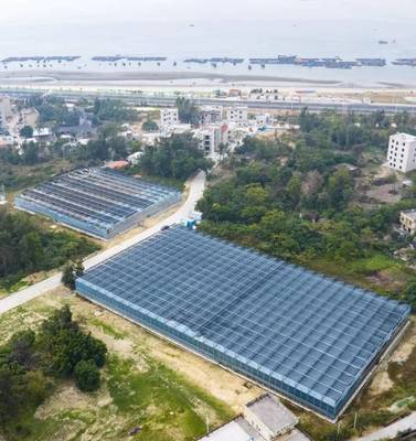 茂名西葛“百千萬工程”示范點 新晉“城市陽臺”網紅打卡地